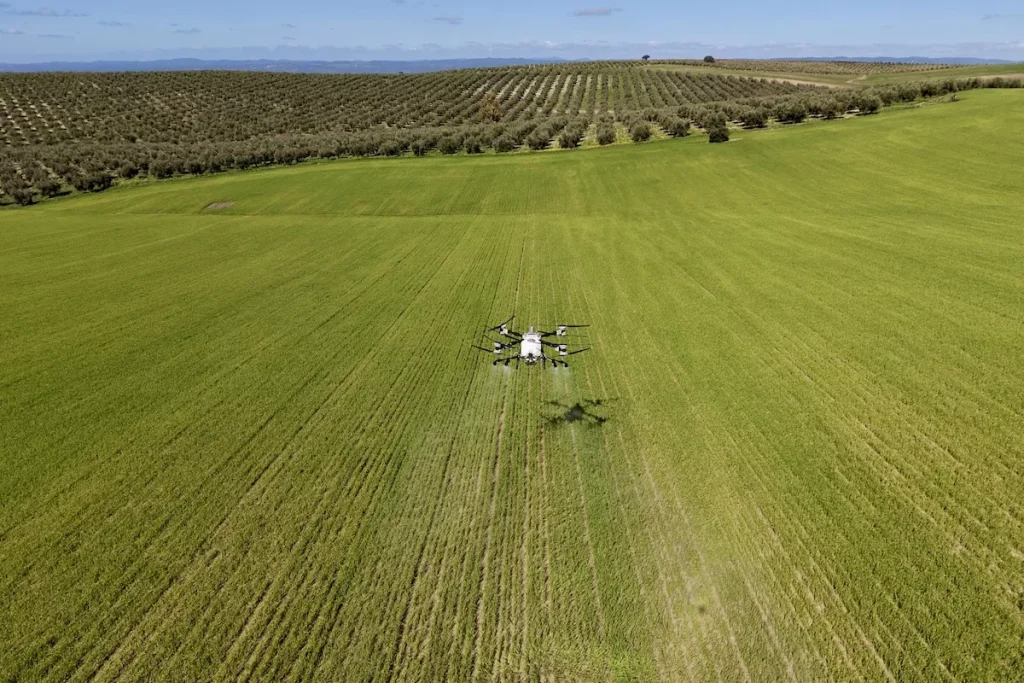 Dji 0054 d 69aff3e7b23c5